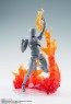 Bandai Tamashii EFFECT BURNING FLAME RED Ver. for S.H.Figuarts, BAC60596, by BANDAI