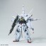 BANDAI  1/100 MG Providence Gundam Premum edition   Plastic Model kit, BAN71669, by BANDAI