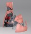 BANDAI  1/100 MG Shar'se Gelgoog ver.2.0   Plastic Model kit, BAN5309, by BANDAI