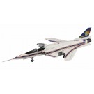 Hasegawa 1/72 "Area 88" X - 29 "Kazama Shin"  , HAS47534, by HASEGAWA