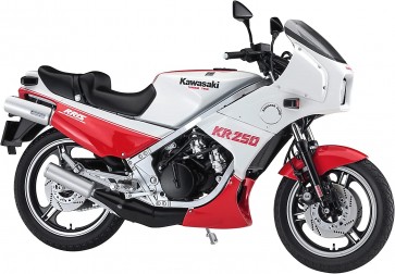 Hasegawa 1/12 Kawasaki KR250 (KR250A) "White/Red Color", HAS17454, by HASEGAWA