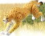 TAKARA TOMY Ania AS-13 Cheetah (Running Ver.), TAK14778, by TAKARA TOMY