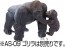 TAKARA TOMY Ania AC-03 Gorilla (Child), TAK06132, by TAKARA TOMY