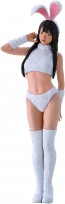 Hasegawa 1/12 12 Real Figure Collection No.45 Bunny Cosplay, HAS24767, by HASEGAWA