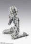 Bandai S.H.Figuarts Body-chan -Ken Sugimori- Edition -Wireframe- (Gray Color Ver.), BAC98360, by BANDAI