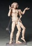 FREEing figma Vitruvian Man (The Table Museum) (Reissue), FRE10434, by FREEING