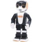 Fujimi PLA ROBOHON VER,2  , FUJ70787, by FUJIMI