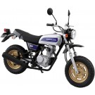 Aoshima 1/12 The Bike No.41 HONDA HC07 APE 100 Deluxe '08, AOS68823, by AOSHIMA