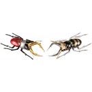 Fujimi Jiyuu Kenkyuu Series No.224 Kamen Rider Kuuga edition Stag beetle Kamen Rider Kuuga / Gouram specifications, FUJ71487, by FUJIMI