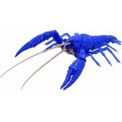 Fujimi CREATURE ARC PROCAMBARUS CLARKII (BLUE)  , FUJ70879, by FUJIMI