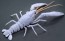 Fujimi CREATURE ARC PROCAMBARUS CLARKII (WHITE)  , FUJ70886, by FUJIMI