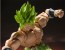 Bandai S.H.FIGUARTS SUPER SAIYAN BROLY FULL POWER , BAN54093, by BANDAI