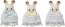 Epoch Sylvanian Families Chocolate Rabbit Family Celebration Set  , EPC45680, by Epoch
