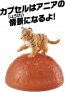 TAKARA TOMY Ania AC-07 Tiger (Child), TAK23689, by TAKARA TOMY