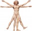 FREEing figma Vitruvian Man (The Table Museum) (Rerelease), FRE13954, by FREEING