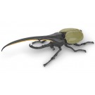 Fujimi Jiyuu Kenkyuu Series No.26 Ikimono Hen Dynastes Hercules (Hercules Beetle), FUJ71210, by FUJIMI