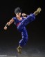 Bandai S.H.Figuarts Ultimate Gohan SUPER HERO (Reissue), BAC68707, by BANDAI