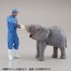 KAIYODO 1/35 ARTPLA Zookeeper and White Rhinoceros Set, KYD90123, by KAIYODO