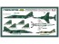 Platz 1/72 JASDF F-1 The 6SQ. TAC Meet 1996  t, PLZ52473, by PLATZ