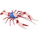 Fujimi Jiyuu Kenkyuu Series No.243 Kinnikuman Edition American Crayfish Kinnikuman Specifications, FUJ71531, by FUJIMI