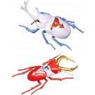 Fujimi Jiyuu Kenkyuu Series No.257 Tatsunoko Hero Edition Beetle Gatchaman Specification / Stag Beetle Polymer Specification, FUJ71746, by FUJIMI