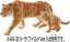 TAKARA TOMY Ania AC-07 Tiger (Child), TAK23689, by TAKARA TOMY
