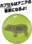 TAKARA TOMY Ania AC-09 Hippopotamus (Child), TAK23719, by TAKARA TOMY
