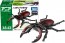 TAKARA TOMY Ania AS-43 Sawtooth Stag Beetle, TAK08548, by TAKARA TOMY
