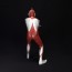 KAIYODO Ultraman (Shin Ultraman) Mega Soft Vinyl Kit, KYD10562, by KAIYODO