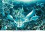 Epoch Jigsaw Puzzle 2016pcs Lassen Dolphins in Wonderland  , EPC37159, by Epoch