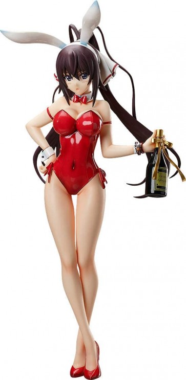 FREEing 1/4 IS Infinite Stratos Houki Shinonono: Bare Leg Bunny Ver. Figure  , FRE99918, by FREEING