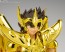 Bandai Saint Seiya Myth Cloth EX Sagittarius Seiya -Successor of the Gold Cloth-, BAC64662, by BANDAI