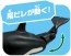 TAKARA TOMY Ania AL-08 Killer Whale Parent And Child (Floating in Water Ver.)  , TAK37634, by TAKARA TOMY