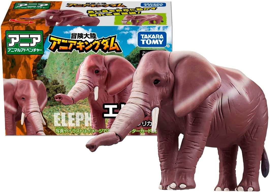 ELEPHANT 2冊 MXSFR5GB.jpg