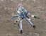 Aoshima V.F.G Macross Δ VF - 31 Siegfried , AOS55403, by AOSHIMA