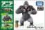 TAKARATOMY Ania AS-36 Gorilla (Wild Ver.) , TAK99626, by TAKARA TOMY