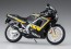 Hasegawa 1/12 Yamaha TZR250 (2AW) "New Yamaha Black", HAS17430, by HASEGAWA