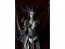Good Smile Company POP UP PARADE SP Lilith (Diablo(R) IV), GSC04676, by GOOD SMILE COMPANY