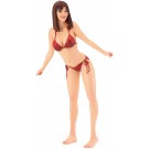 Hasegawa 1/12 12-Real Figure Collection No.07 "Gravure Girl Vol.2"  , HAS22879, by HASEGAWA
