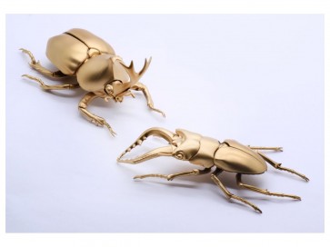 Fujimi CREATURE ARC STAG BEETLE VS BEETLE DUEL SET SPECIAL VERSION (GOLD VER.)  , FUJ70893, by FUJIMI
