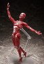 FREEing figma Human Anatomical Model, FRE10427, by FREEING