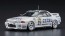 Hasegawa 1/24 ZEXEL Skyline (Skyline GT-R [BNR32 Gr.A Model]1991 SPA 24hrs Race Winner), HAS05659, by HASEGAWA