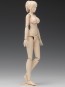Wave 1/12 SCALE MOVABLE BODY FEMALE TYPE (C VER.)  , WAV80247, by WAVE
