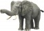 TAKARA TOMY Ania AL-26 African Elephant, TAK19377, by TAKARA TOMY