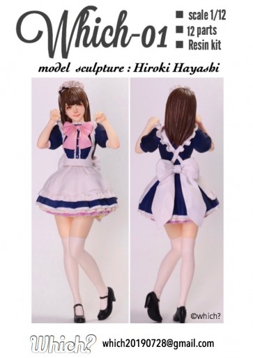 Which? 1/12 Which-01 resin kit, WHI32233, by Which?