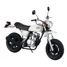 Aoshima 1/12 Bicycle 21 Honda Ape 50 plastic kit , AOS51702, by AOSHIMA