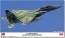 Hasegawa 1/72 F-15DJ Eagle Aggressor Green Scheme, HAS24601, by HASEGAWA